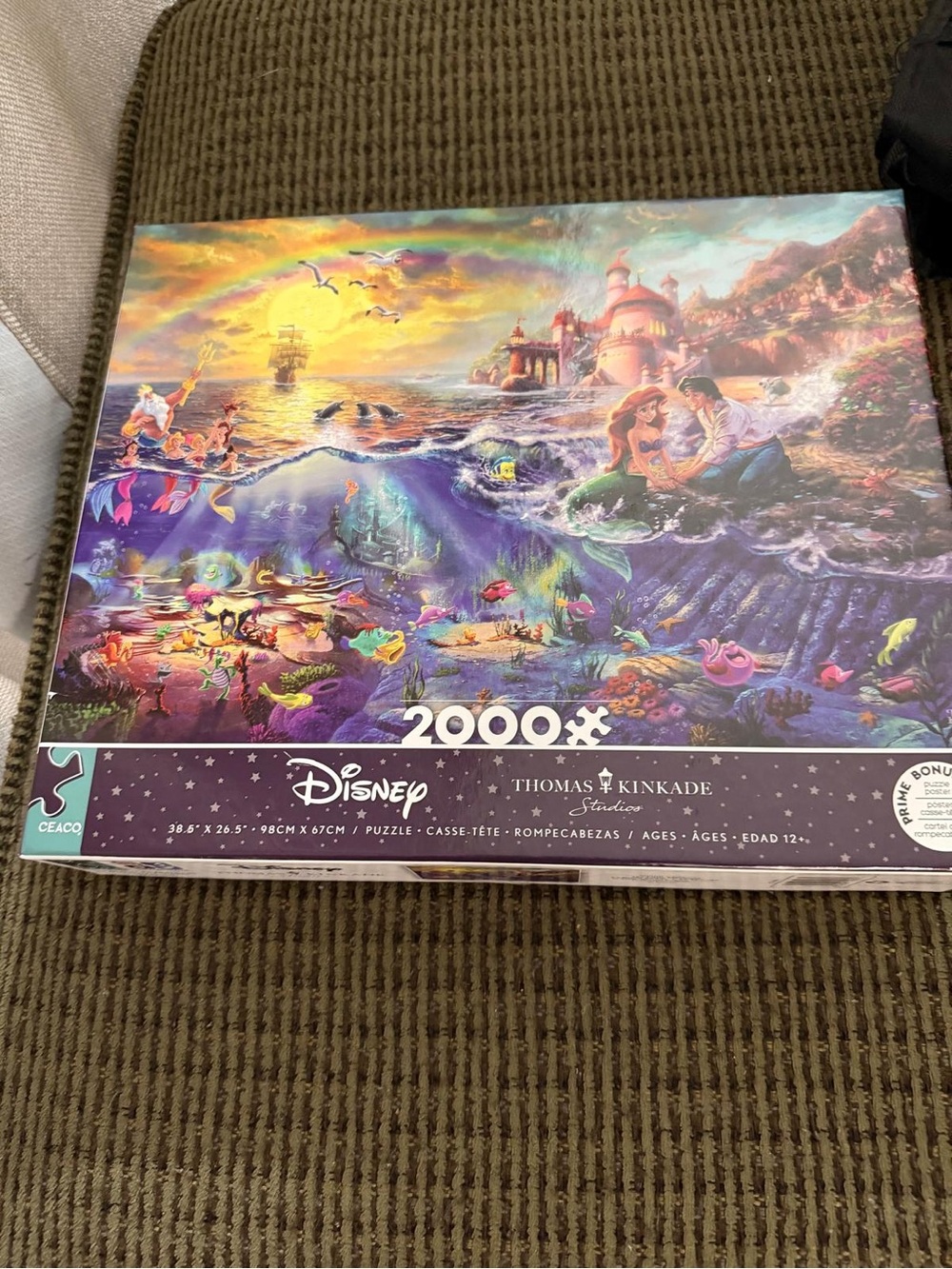 Disney Thomas Kinkade Studios 2000-Piece Jigsaw Puzzle - Multicolor